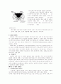 척수 손상(spinal cord injury) 6페이지