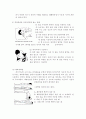 척수 손상(spinal cord injury) 17페이지