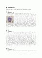 도덕 5년 제재 분석 7페이지