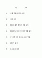 디지털웨이의 해외진출 전략 2페이지
