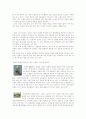 십이지(十二支)에 대하여 7페이지