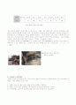 일본의 목욕문화와 혼욕, 온천문화 7페이지