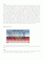 T.G.I 성공사례분석 9페이지