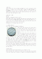 천진 지역연구 5페이지