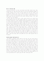 인터넷 신문의 가능성 2페이지