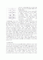DNA복제와 PCR 3페이지