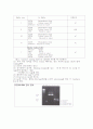 DNA복제와 PCR 12페이지