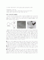 Translation(해독) 7페이지