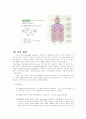 지방·단백질·탄수화물대사 6페이지