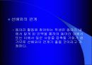 동아리 활동이 학교생활에 미치는 영향 8페이지