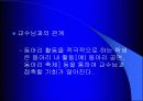 동아리 활동이 학교생활에 미치는 영향 9페이지
