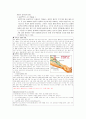 만성 신부전(사례연구) 9페이지