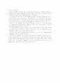 이라크 전쟁 이후의 세계정세 5페이지