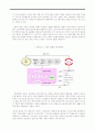 위천공단 설치를 둘러싼 환경, 지역갈등을 중심으로 5페이지