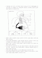 응급처치매뉴얼 (FIRST AID MANUAL)-응급간호 28페이지