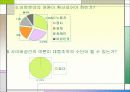 사이버공간과여론 13페이지