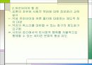 사이버공간과여론 17페이지