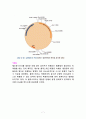 플라스미드(plasmid)에 대하여 7페이지