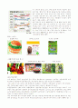 웰빙(Well-Being) 개념과  분야별 특성 3페이지