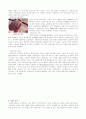 메소포타미아의 문화사적 배경 5페이지