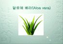식품학 개론 12페이지