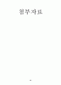 독신노인들의 건전한 이성교제주선 및 재혼주선을 위한 '효도미팅' 프로그램 계획서 59페이지