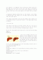 간암에 관해 3페이지