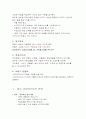 스카이라이프 마케팅 12페이지
