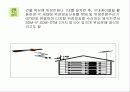 스카이 라이프 방송기술에 대해 24페이지