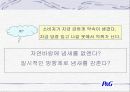 페브리즈 분석 13페이지
