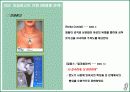 외설광고에 대한 논의 10페이지