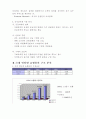 인터넷 쇼핑몰의 성공 전략 2페이지