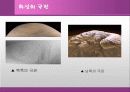 화성에 관한 발표 자료 5페이지