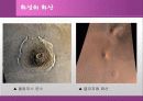 화성에 관한 발표 자료 18페이지