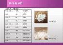 화성에 관한 발표 자료 19페이지