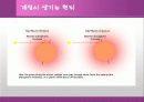화성에 관한 발표 자료 22페이지