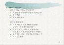 기업의 문제점과 전략 25페이지