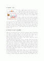 싸이월드 마케팅적 성공의 분석 4페이지
