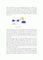 Tcl과 Tk 및 Perl 조사 14페이지