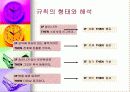 지식의 표현 7페이지