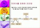 지식의 표현 16페이지