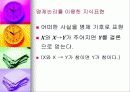 지식의 표현 27페이지