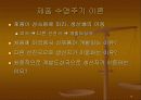 국제무역 이론 13페이지