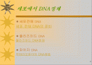 세포의 DNA정제 2페이지