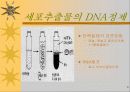 세포의 DNA정제 6페이지