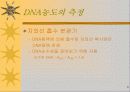세포의 DNA정제 8페이지