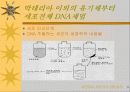 세포의 DNA정제 9페이지