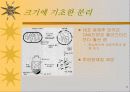 세포의 DNA정제 11페이지