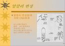 세포의 DNA정제 13페이지