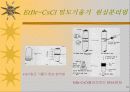 세포의 DNA정제 14페이지
